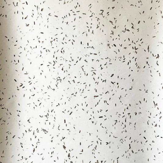 SOUha Backdrop No.003 "TAMARINDO" / Tamarind Leaves