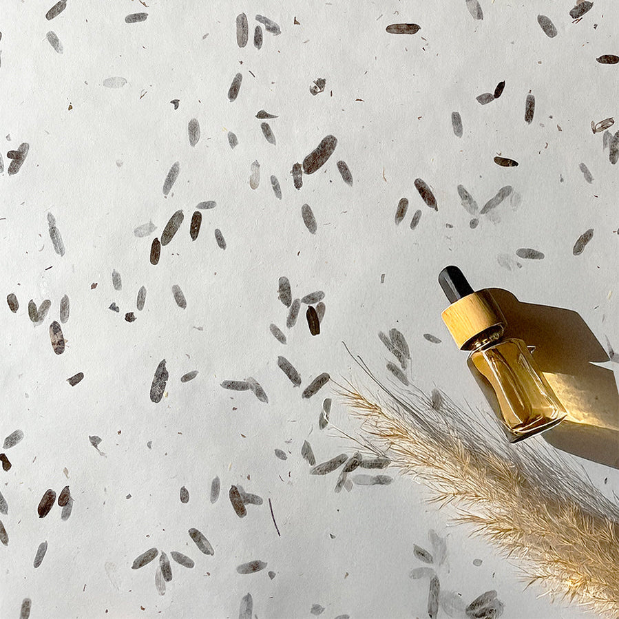 SOUha Backdrop No.003 "TAMARINDO" / Tamarind Leaves
